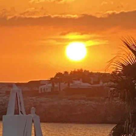 Bini Sac Binissafuller